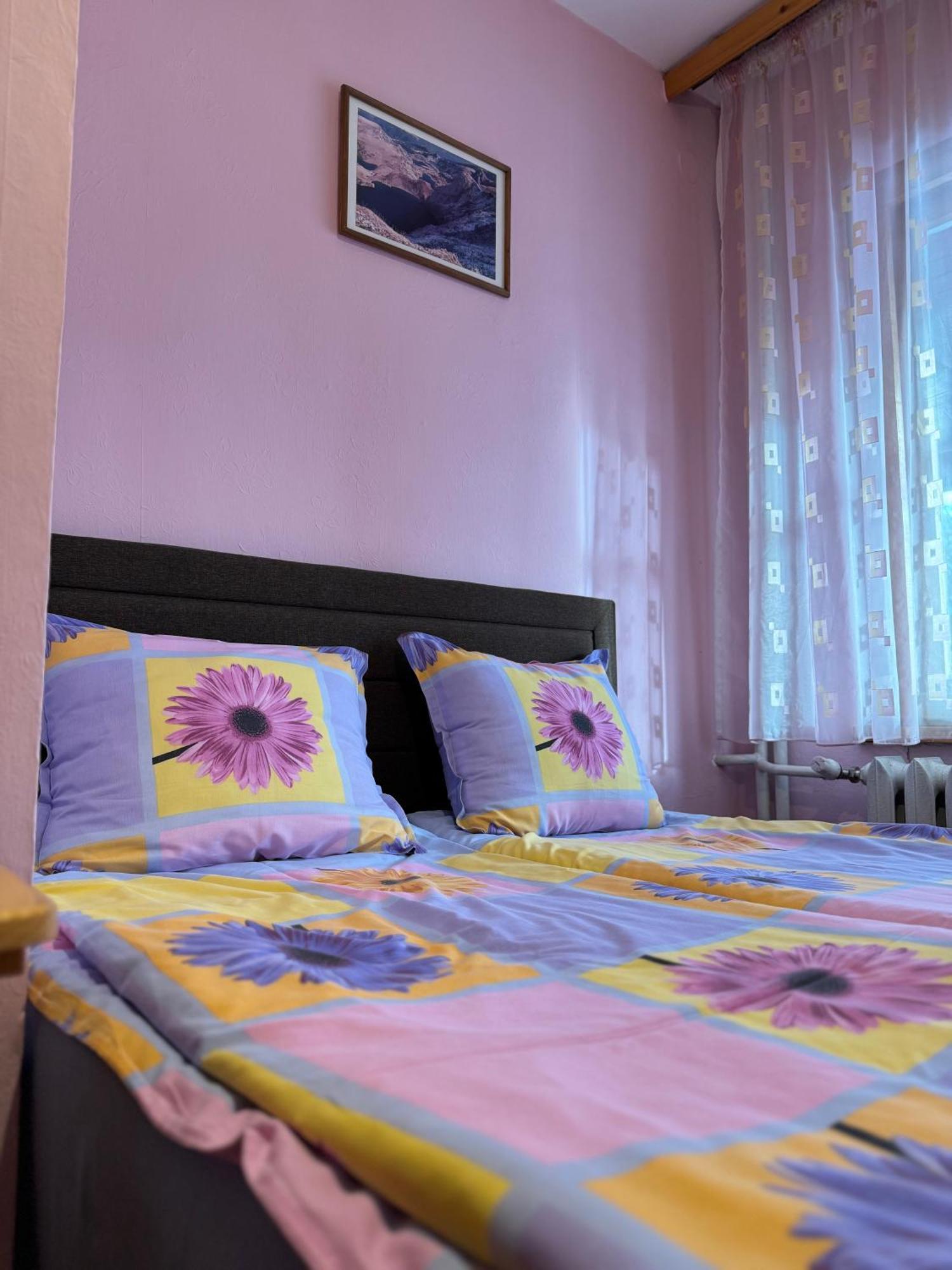 Mama Emiliya Guest House Beli Iskar Exterior foto
