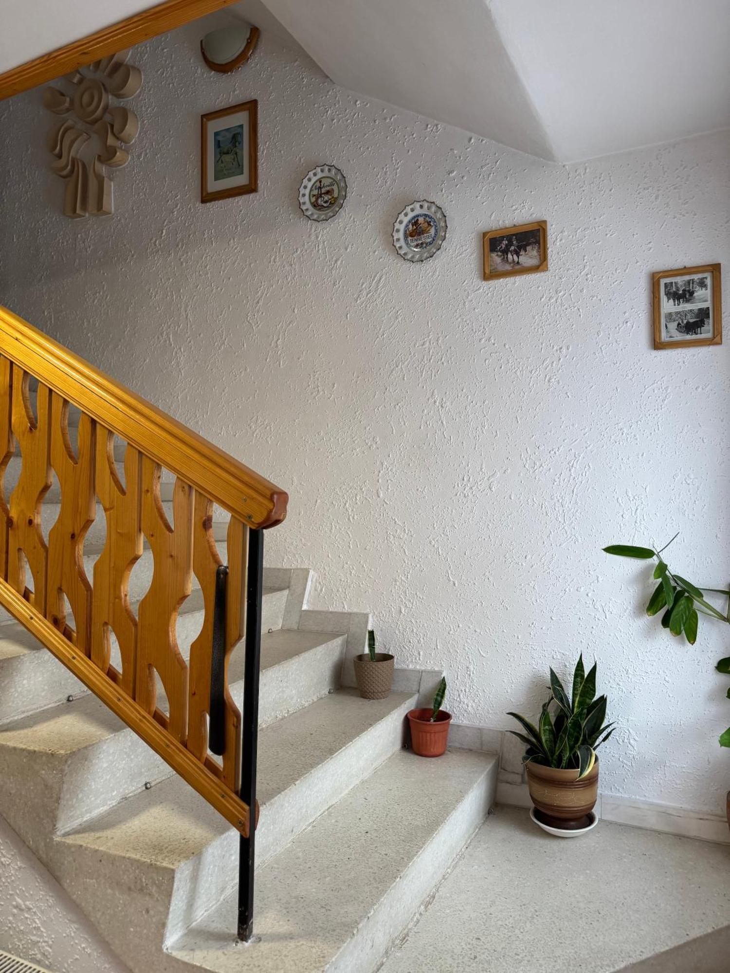 Mama Emiliya Guest House Beli Iskar Exterior foto